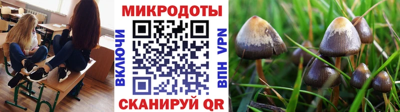 как найти закладки  мориарти официальный сайт  Галлюциногенные грибы GOLDEN TEACHER  Шахты 