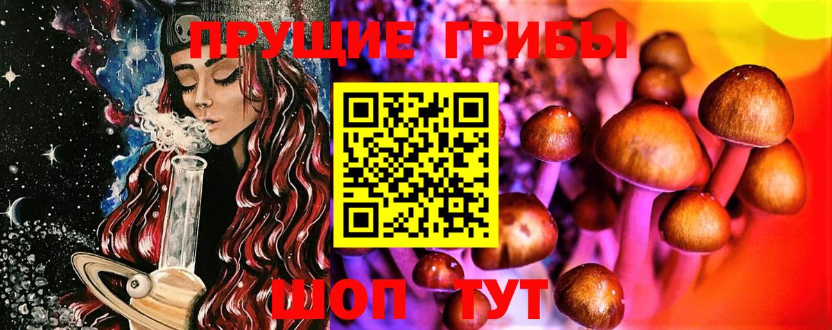 Псилоцибиновые грибы прущие грибы  Псилоцибиновые грибы мицелий  Вход с VPN  Шахты 