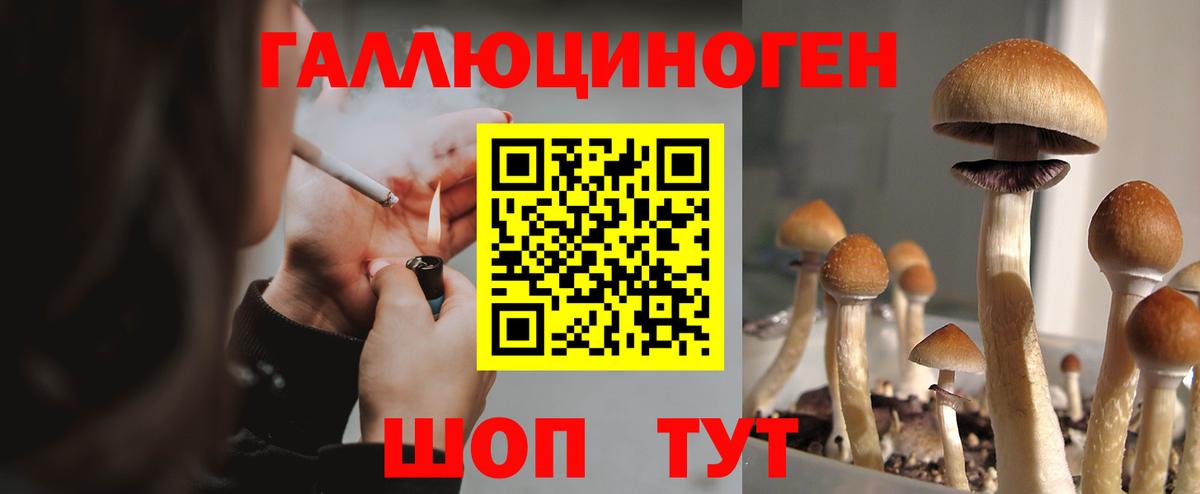 Галлюциногенные грибы Magic Shrooms Шахты